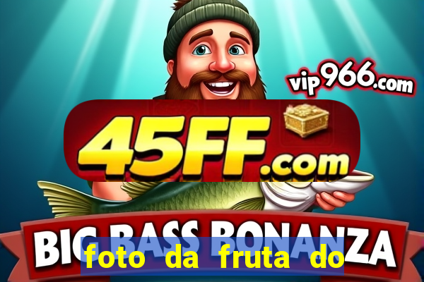 foto da fruta do blox fruits